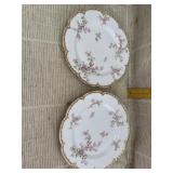 Haviland Limoges Plates