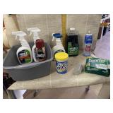 Simple Green, Oxi Clean, Pledge, Mold Control,