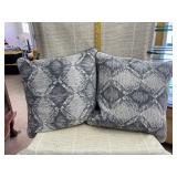 2 Throw Pillows