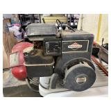 Briggs & Stratton Engine