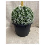Artificial Plant in Plastic Pot