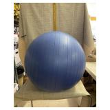 Danskin Now Exercise Ball