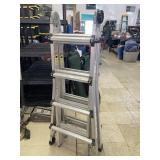Cosco Multi Position Ladder