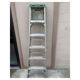 6 Foot Werner Ladder