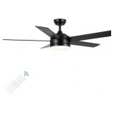 $100 52 Inch Black Ceiling Fan with Light an