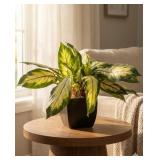 Artificial Plant in Decorative Pot Modern Faux Gre