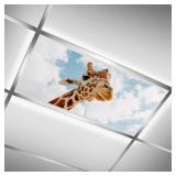 Fluorescent Light Covers for Classroom Ceiling Lig