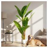 $140 6FT Artificial Banana Tree Luxury Faux Banana