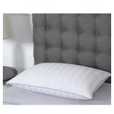 DownHaven - Luxury Down Filled Pillow 20' L x 28'