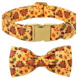Day Dog Collar with Bowtie