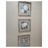 3pc Framed Coastal Sea Life Shadowbox Wall Art