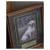 'Wild Kingdom Series: Yellow Lab' Framed