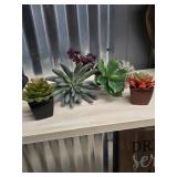 Assorted Faux Succulent Plant Collection