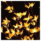 Light Garden 01764 - 184146 Electric Lighted Bloss