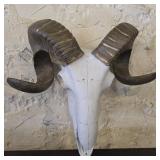 Decorative Ram Skull Wall Mount