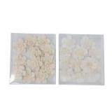 White Sola Boxed Sunflower and Daisy Flowers (Set