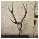 $225 Peacock Park 31' Antler Wall Mount