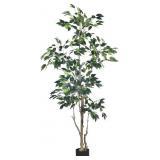$69 Artificial Ficus Tree 6Ft Fake Plant with Live