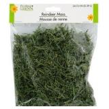 3 Bags Floral Garden Reindeer Moss 24 CU IN (0.39