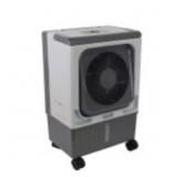 Dial Manufacturing 900-CFM 2 -Speed Portable Evapo