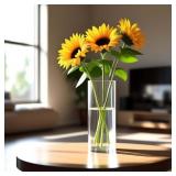 CYS EXCEL Cylinder Clear Glass Vase (H-16' D-6') |