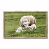 Hobby Lobby 27' x 16' Framed Ewe and Lambs Pastora