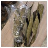 5Packs Natural Botanicals Coco Paddle Curled Basil