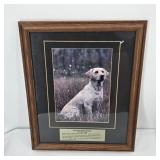 Framed 'Wild Kingdom Series' Yellow Lab Dog Print