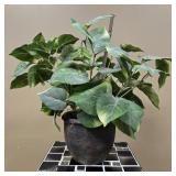 Faux Potted Pothos Plant in Dark Planter