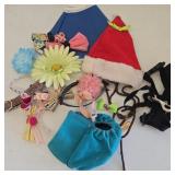 Assorted Pet Accessories & Costumes
