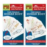 Apple House Layering the Human Body Cards