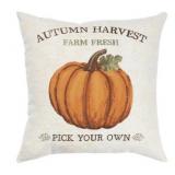 Brentwood Originals Autumn Harvest Pillow