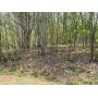 5 Wooded Acres in Powell Valley