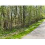 5 Wooded Acres in Powell Valley