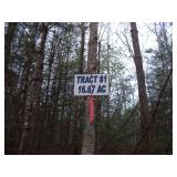 Land Parcel