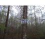 Court Ordered, Estate of Mary Etta Smith- 214 acres in tracts from 10 Ac. to 30 Ac. each some adjoining the Big South Fork others just a short di