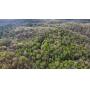 Court Ordered, Estate of Mary Etta Smith- 214 acres in tracts from 10 Ac. to 30 Ac. each some adjoining the Big South Fork others just a short di
