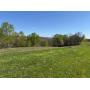 67+/- Acre Farm