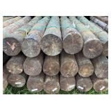 8x8 Treated Tapered Fence Post