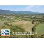 9 1/2 Acre Farm in 3 Tracts