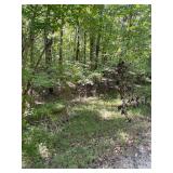 176.48 Acres, Ledgerwood Ln