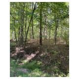 176.48 Acres, Ledgerwood Ln