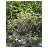176.48 Acres, Ledgerwood Ln