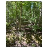 176.48 Acres, Ledgerwood Ln
