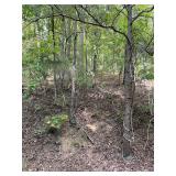 176.48 Acres, Ledgerwood Ln
