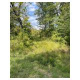 176.48 Acres, Ledgerwood Ln