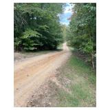 46.8 Acres,Ledgerwood Ln.