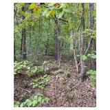 46.8 Acres,Ledgerwood Ln.