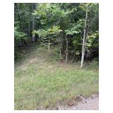 46.8 Acres,Ledgerwood Ln.
