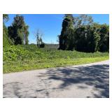 220.28 Acres, Tedder St.